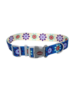 Coastal 1 and Sublime Dog Collar Flower Purple and Yellow Medium