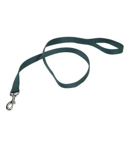 Coastal 1 and Dog Lead Hunter Green 4 Feet Long 1 and Wide
