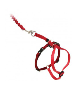 PetSafe Easy Walk Cat Harness & Lead - S Red