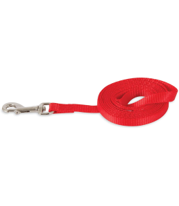 main-260x300-969.png PETMATE ASPEN PET NYLON DOG LEAD 3/8" X 5' RED - Image 1