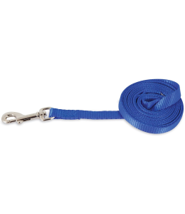 PET MATE ASPEN PET NYLON DOG LEAD 3/8" X 5' ROYAL BLUE