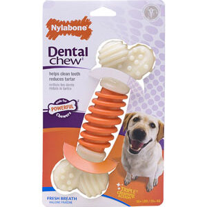 Nylabone Dental Pro Action Chew - Bacon (Large)