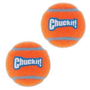 PETMATECHUCKIT! TENNIS BALL 2-PACK SMALL