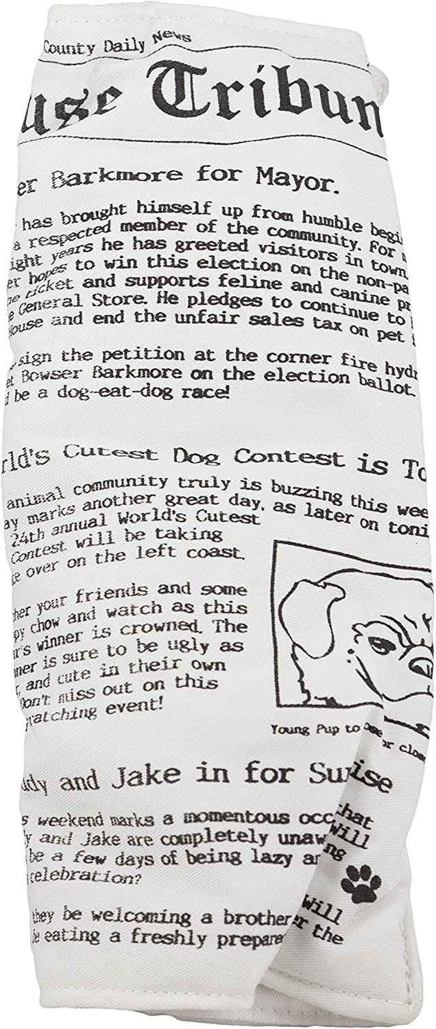 main-347.jpg Ruff House Pet Newspaper Dog Toy with Squeaker - Image 1