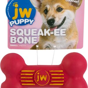 Jw Isqueak Bone Small - Multicolor - 1Pc