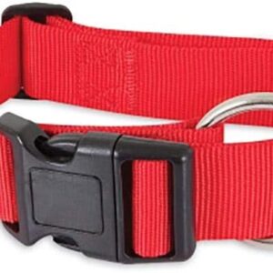 PETMATE NYLON ADJUSTABLE DOG COLLAR 5/8"X10-16" RED