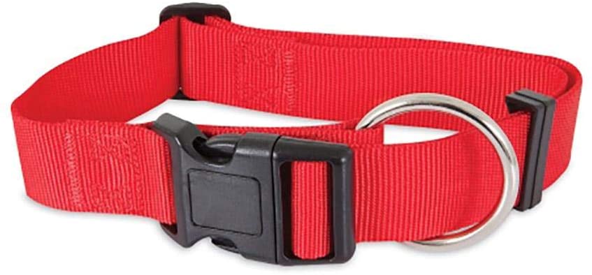 main-378.jpg PETMATE NYLON ADJUSTABLE DOG COLLAR 5/8"X10-16" RED - Image 1