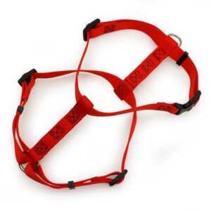 PETMATE NYLON DOG HARNESS 1"X28-36" RED