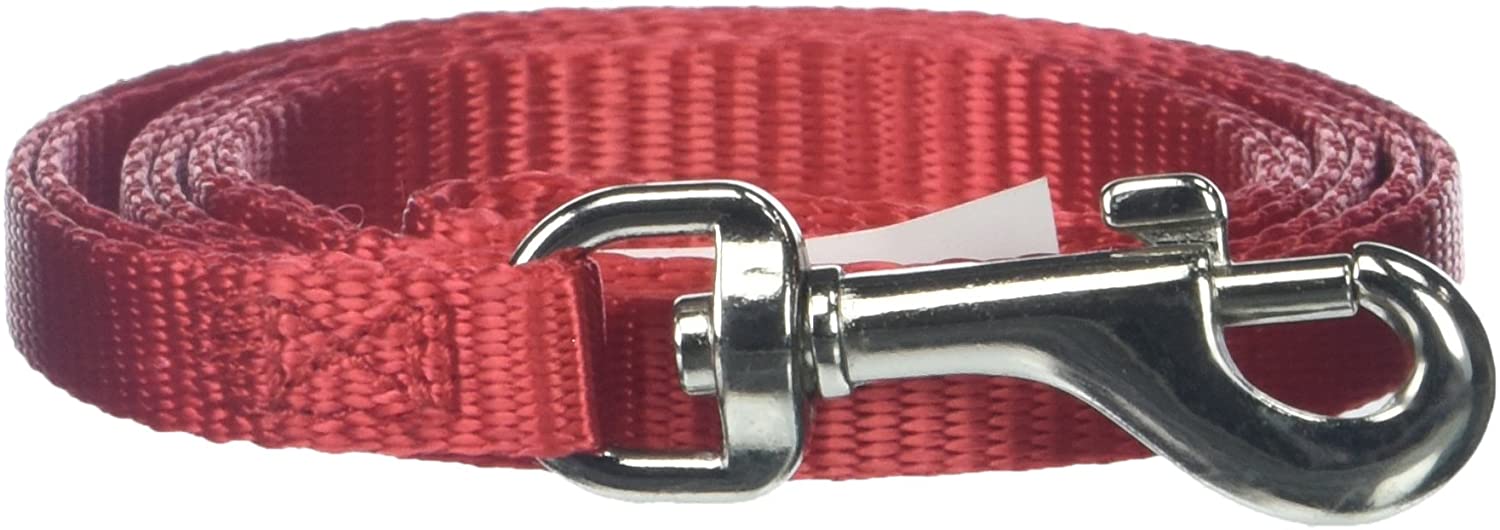 main-387.jpg PETMATE NYLON DOG LEASH 1"X6' RED - Image 1