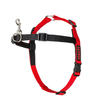main-462.jpg COA HW014 HALTI Walking Harness Red Small - Image 1