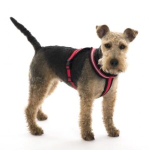 COA LFR7 Comfy Harness Red Extra Large Size