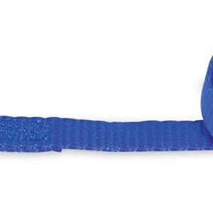 PETMATE NYLON ADJUSTABLE DOG COLLAR 5/8"X10-16" ROYAL BLUE
