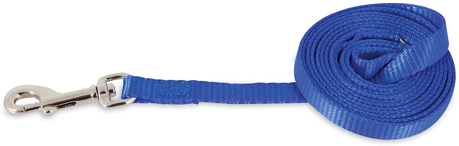 main-494.jpg PETMATE NYLON ADJUSTABLE DOG COLLAR 5/8"X10-16" ROYAL BLUE - Image 1