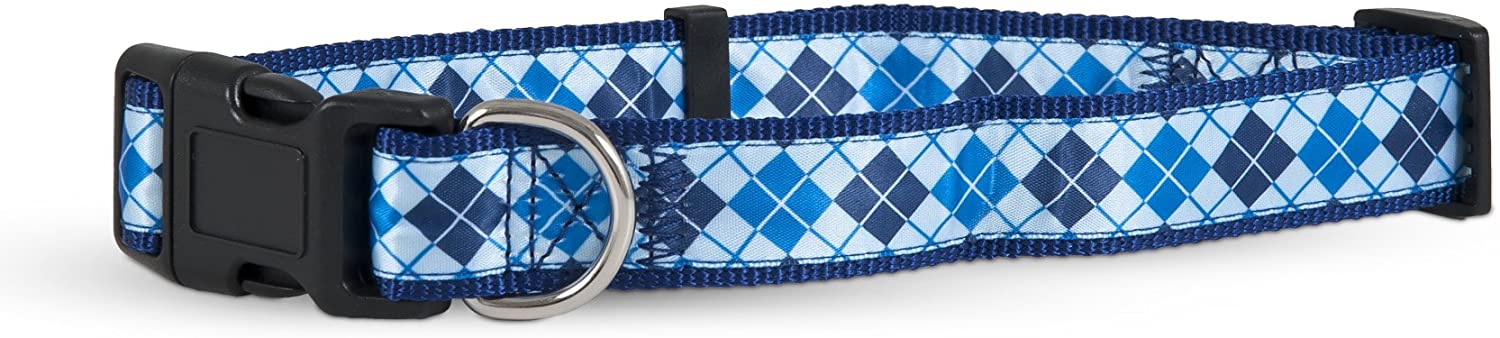 main-500.jpg PETMATE ASPEN PET RIBBON OVERLAY DOG COLLAR 3/4"X14-20" HARLEQUIN BLUE - Image 1