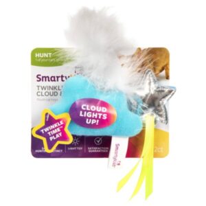 SmartyKatÂ® Twinkle Time S/2 Cloud with Star