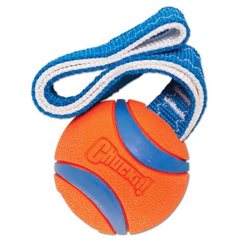 main-566.jpg Petmate Chuckit! Ultra Tug Medium - Image 1