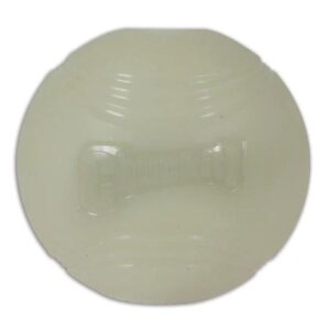 Petmate Chuckit! Max Glow Ball Medium 1-Pack