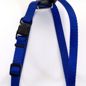 Coastal 3 and Size Right Harness X-Small Blue