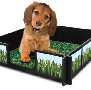 Dry Mate Potty Rink 64 X 64 Inches Potty Rink With Accessories And A Free Mat