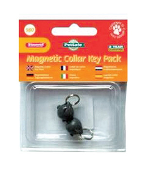main-738.jpg PetSafe Collar Key Pack - Silver - Image 1