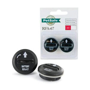 PetSafe 6 Volt BM Dual Pack