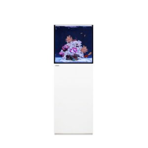 Waterbox SILVER MARINE 35.1 + Cabinet- L 45CM X W 45CM X W 45CM-WHITE