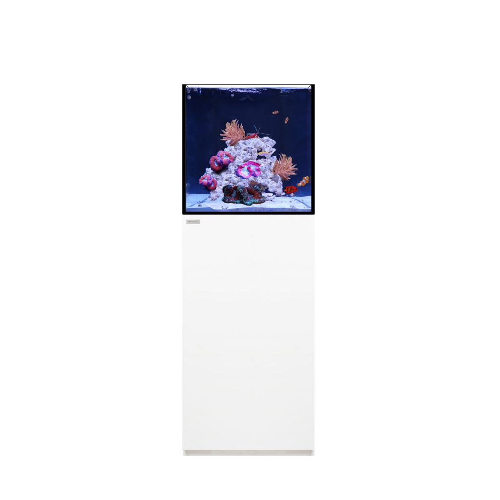 main-760.jpg Waterbox SILVER MARINE 35.1 + Cabinet- L 45CM X W 45CM X W 45CM-WHITE - Image 1
