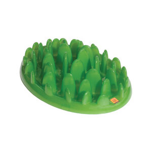 COA Green Slow Feeder