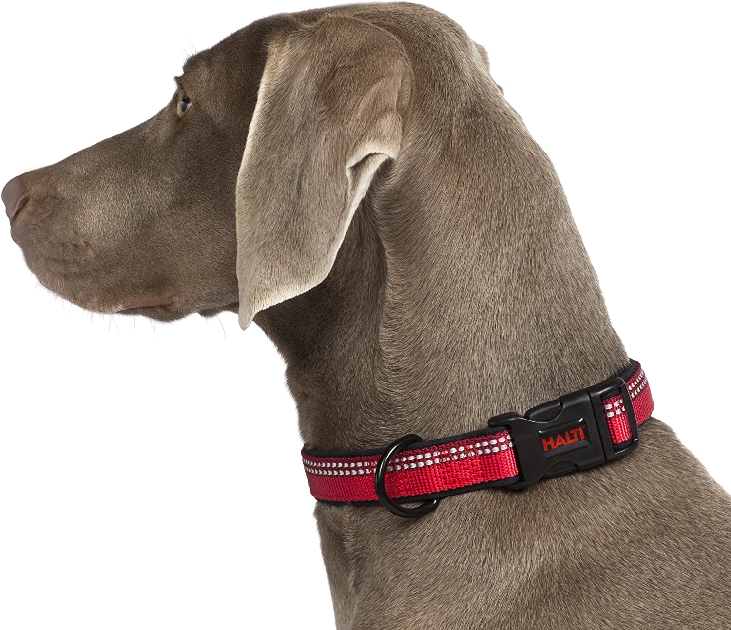main-855.jpg COA HC024 HALTI Collar Red Medium - Image 1