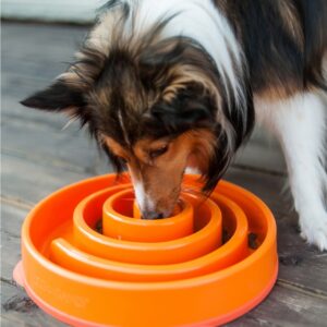 Outward Hound Fun Feeder Swirl Org LG