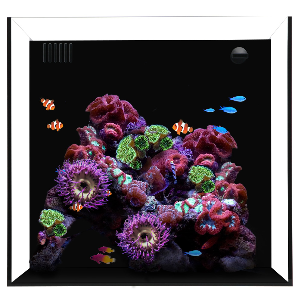 main-985.jpg Waterbox CUBE 20+ With Pump L 45 Cm W 45 Cm H 40 Cm - Image 1