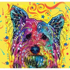 Dry Mate Placement Mats For Dogs York I 12 X 20 Inches
