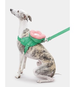 VETRESKA Flora Pet Backpack & Harness 3 in 1 Set (XXS)