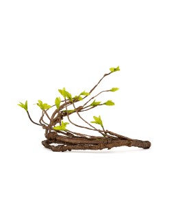 ReptiWorks Bend-A-Branch Vine - Muilt Branch 140Cm, Dia.13Mm