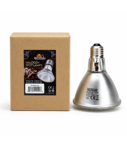 ReptiWorks Halogen Spot Lamps 75W9.5X9.5X12Cm / 3.7"X3.7"X4.7"