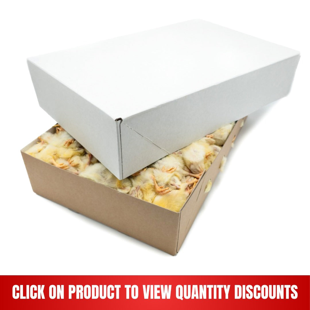 8ca70856-9687-4122-a35a-f47377124587.jpg Frozen Day Old Chicks Standard 10 kg box - Image 1