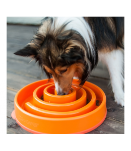Outward Hound Fun Feeder Swirl Org LG