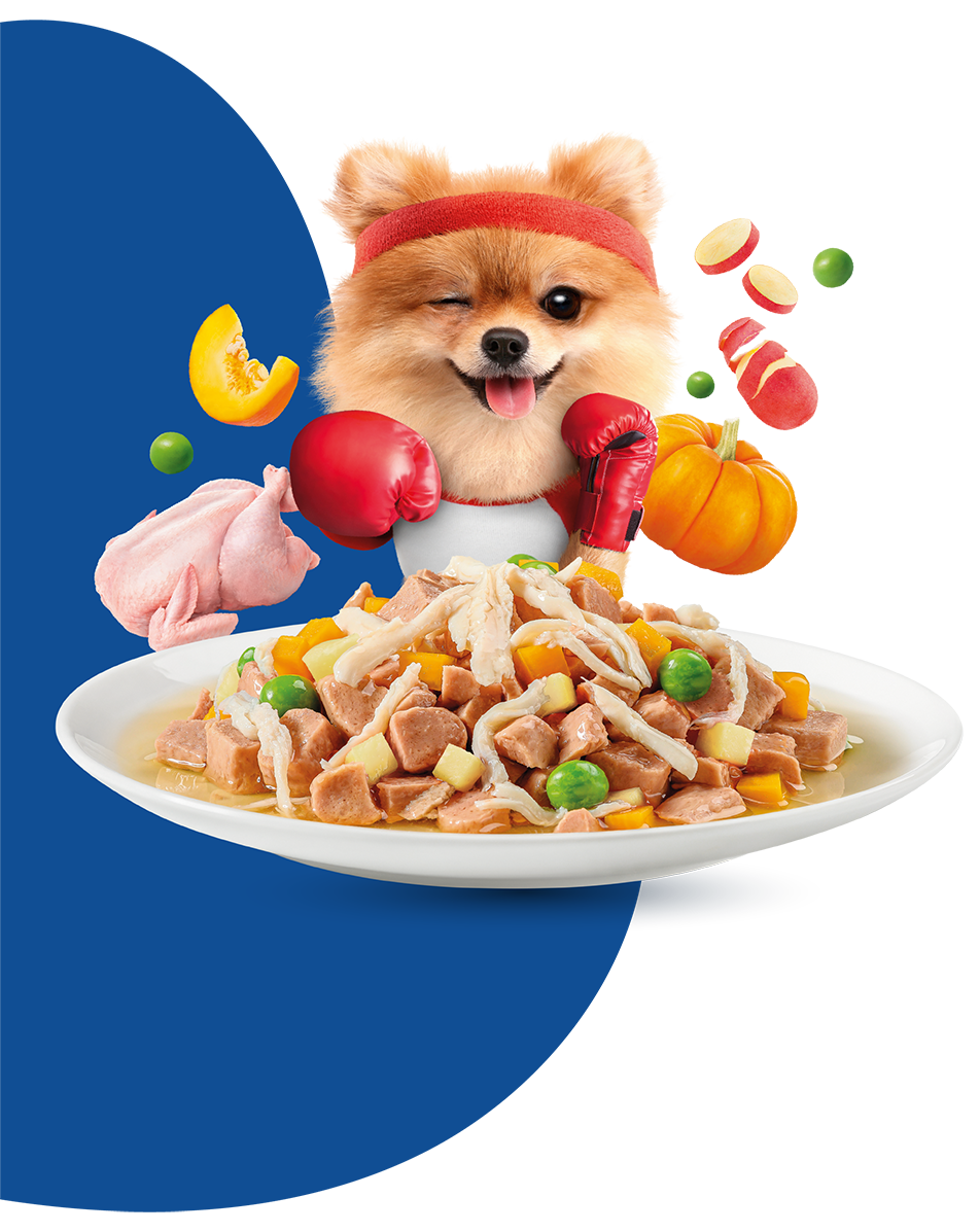 1.png Moochie Dog Food Casserole with Turkey - Weight Control Pouch 85g - Image 1