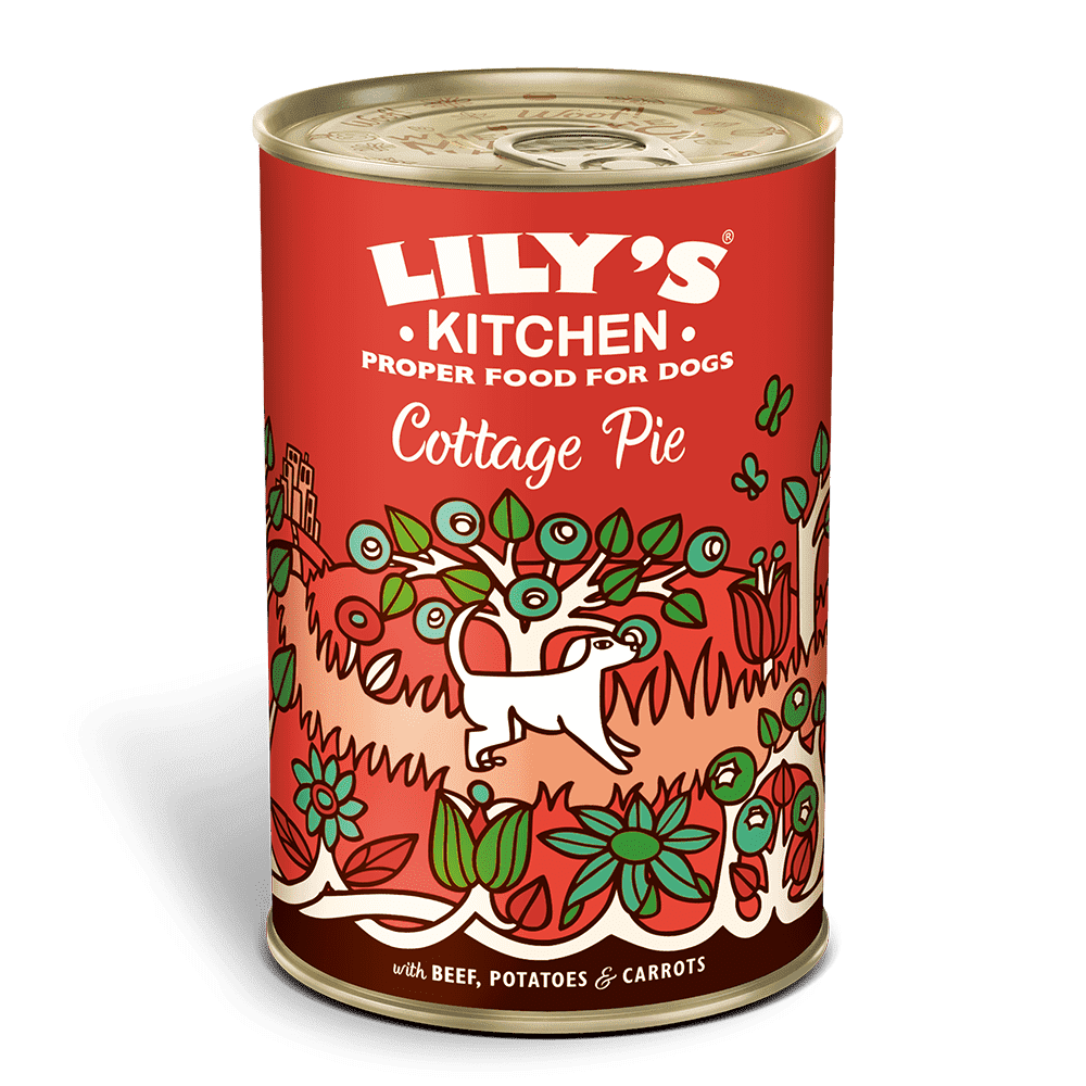 17146321281827115202.png Lily's Kitchen Dog Cottage Pie Wet Dog Food (400g) - Image 1