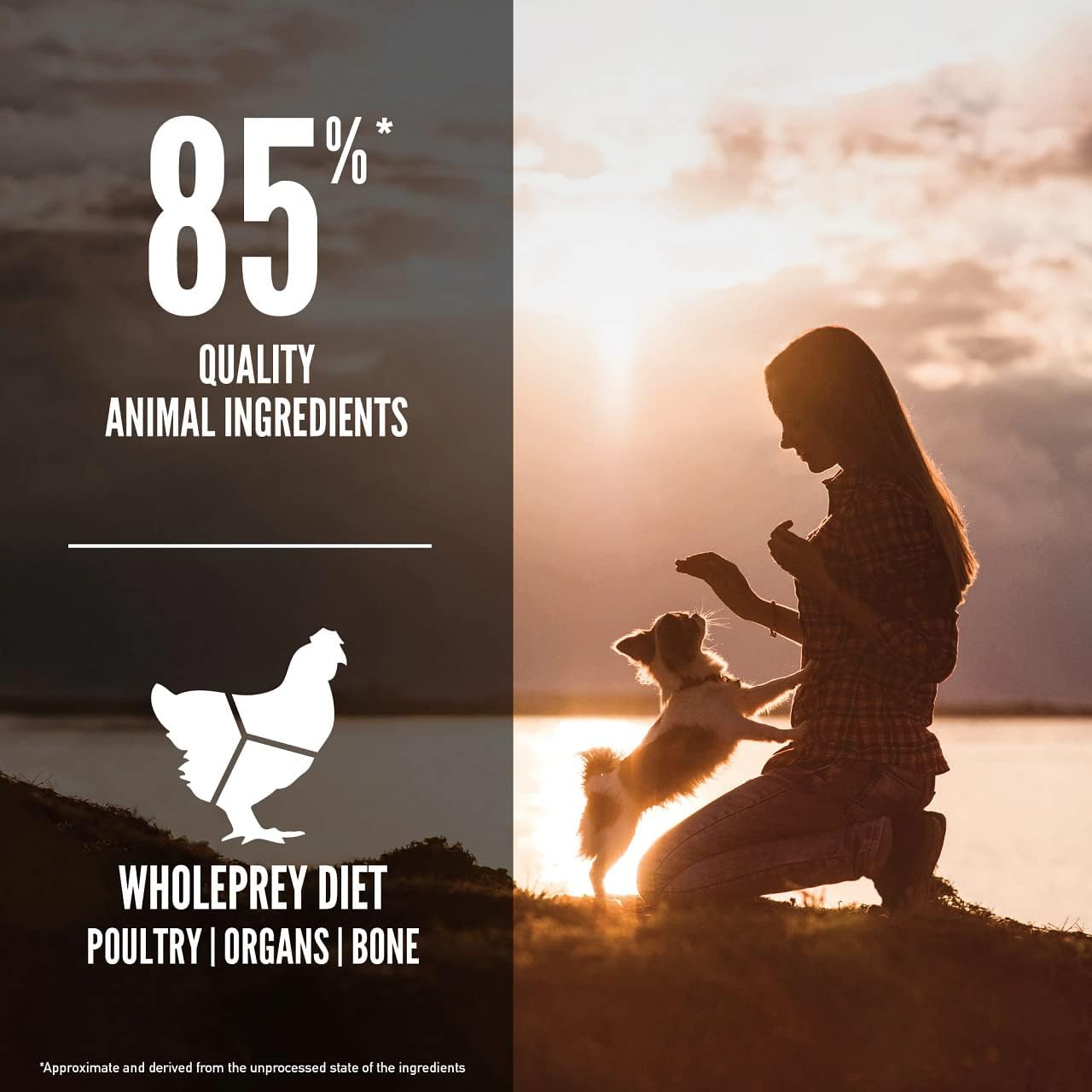1729667915774087282.jpg Orijen Small Breed Dog Dry Food 1.8Kg - Image 1