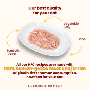 Almo Nature Jelly - Tuna and Squid Wet food 70 g