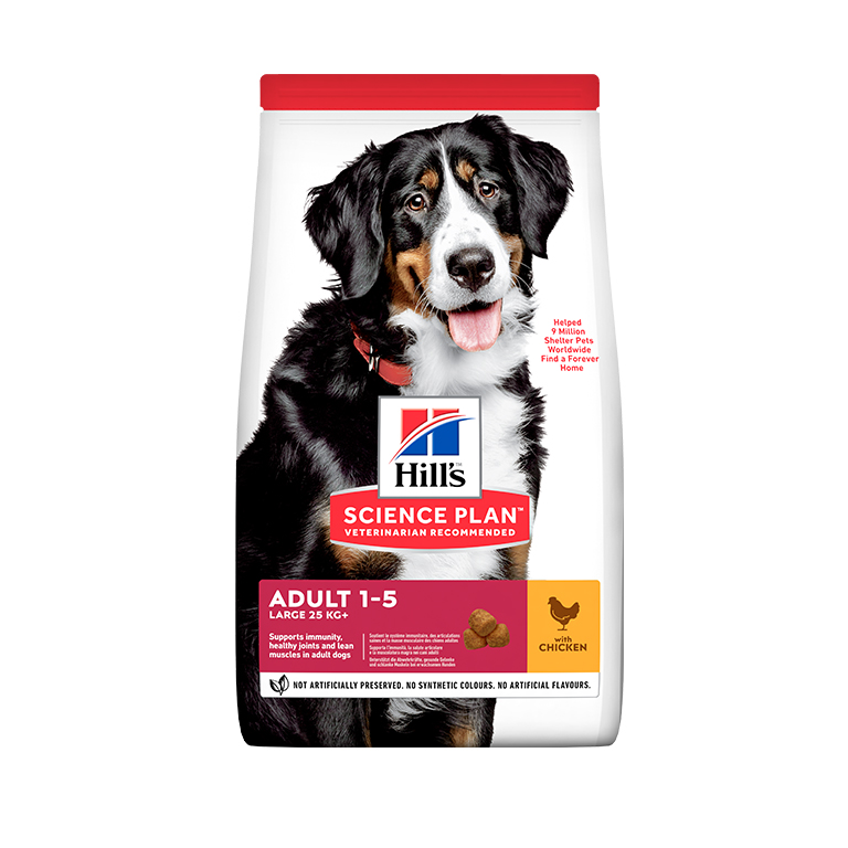 1784651692577198599.jpg Hill's Science Plan Large Breed Adult Dog Food with Chicken - 14kg - Image 1