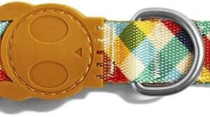 Zee Dog Phantom Collar Medium