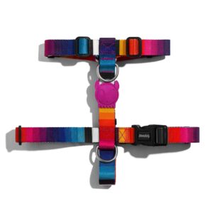 Zee.Dog Prisma H-Harness Large