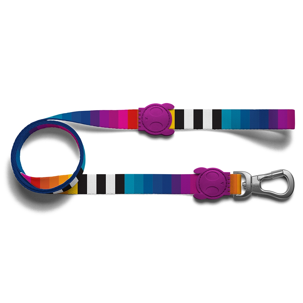 1785137343224922838.jpg Zee.Dog Prisma Leash Small - Image 1