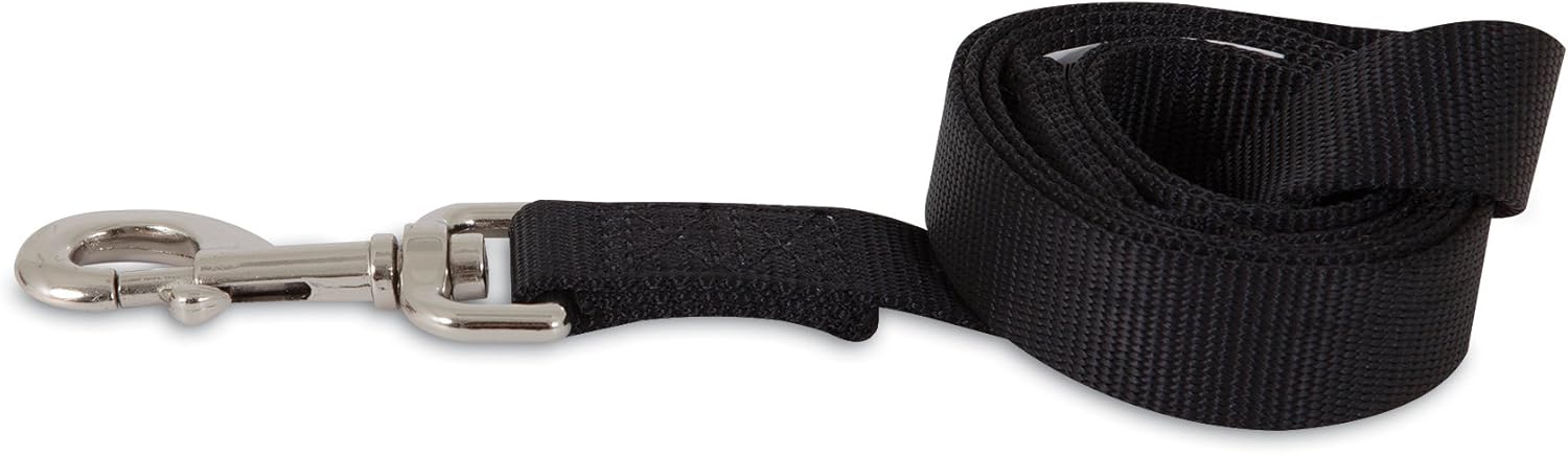 17851401731975318180.jpg Aspen Pet Products Standard Nylon Lead, 4' x 5/8", Black - Image 1