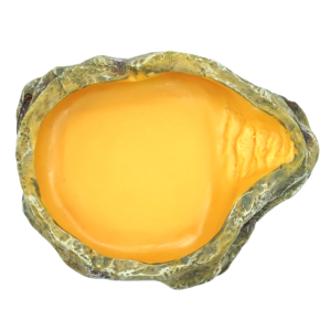 Wacool Reptile Water Dish S