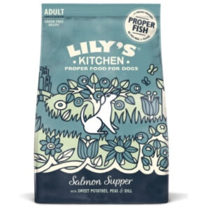 Lily's Kitchen Salmon Supper Adult Dog Dry Food - 1KG