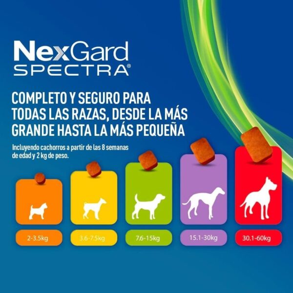 Nexgard Spectra Xl 30.1- 60 kg)