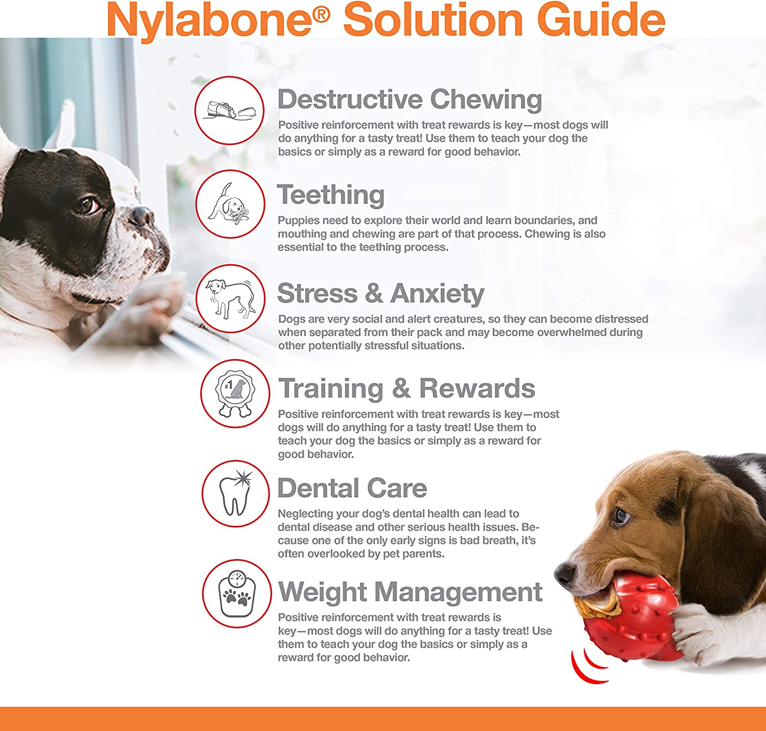1785147208252274090.jpg Nylabone Power Chew Textured Bone, Beef Jerky Wolf - Image 1